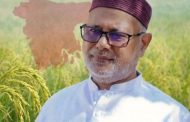 দিনাজপুর–১ আসনে ধানের শীষের ঝড়, বিপুল ভোটে জয় মনজুরুল ইসলামের