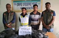 ক্ষেতলালে ২৭ কেজি গাঁজাসহ দুই মাদক ব্যবসায়ী গ্রেপ্তার