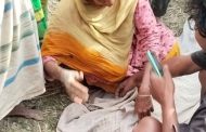বীরগঞ্জে ট্রাকচাপায় শিক্ষার্থী শিশুর মৃত্যু, চালক আটক