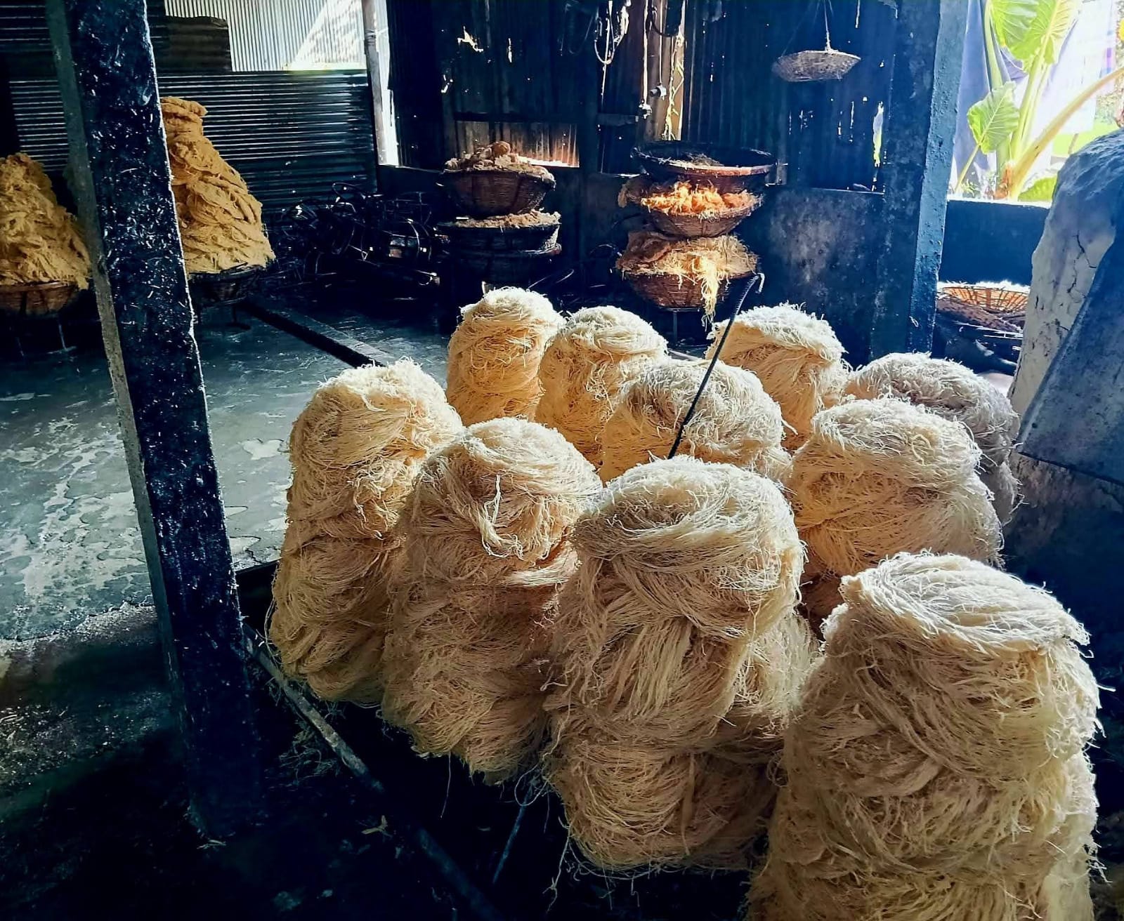 চৌমুহনীতে অস্বাস্থ্যকর পরিবেশে সেমাই উৎপাদন, মোবাইল কোর্টে ২ লাখ টাকা জরিমানা