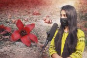 রেলপথের ধারে শিমুলে রাঙা উল্লাপাড়া