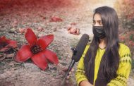 রেলপথের ধারে শিমুলে রাঙা উল্লাপাড়া