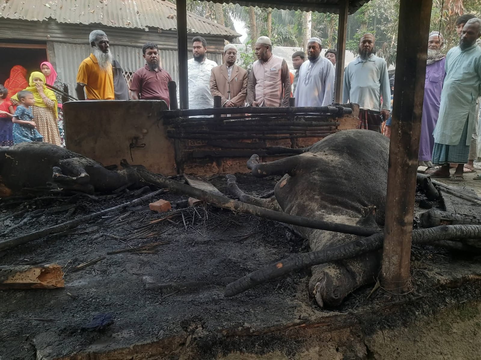 সাঘাটায় গোয়াল ঘরে বৈদ্যুতিক শর্ট সার্কিটে আগুন লাগিয়ে ৪ লক্ষাধিক টাকার ক্ষতি
