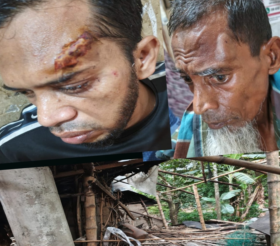 শ্যামনগরে জমি বিরোধে হামলা: আহত ৪, লুটপাট ও শ্লীলতাহানির অভিযোগ