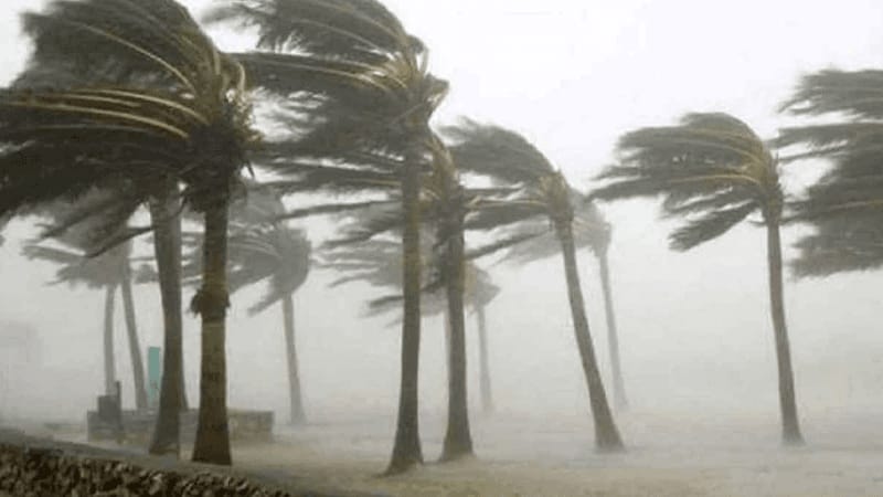 হঠাৎ ঝড়ে ব্যপক ক্ষয়ক্ষতি