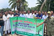 বাকেরগঞ্জে বৃক্ষ রোপন কর্মসূচির শুভ উদ্বোধন