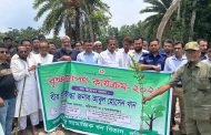 বাকেরগঞ্জে বৃক্ষ রোপন কর্মসূচির শুভ উদ্বোধন