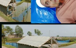 সিনিয়র সহকারী জজ আদালত শ্যামনগরের আদেশ অমান্য করে জায়গা দখলের অভিযোগ