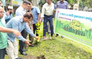 বাকেরগঞ্জে প্রধানমন্ত্রী ঘোষিত ২৫ কোটি বৃক্ষ রোপণ কর্মসূচির উদ্বোধন