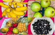 স্থানীয় সরকার ও নগর উন্নয়ন’ বিভাগের আয়োজনে ফল উৎসব-২০২৬ অনুষ্ঠিত