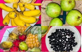 স্থানীয় সরকার ও নগর উন্নয়ন’ বিভাগের আয়োজনে ফল উৎসব-২০২৬ অনুষ্ঠিত