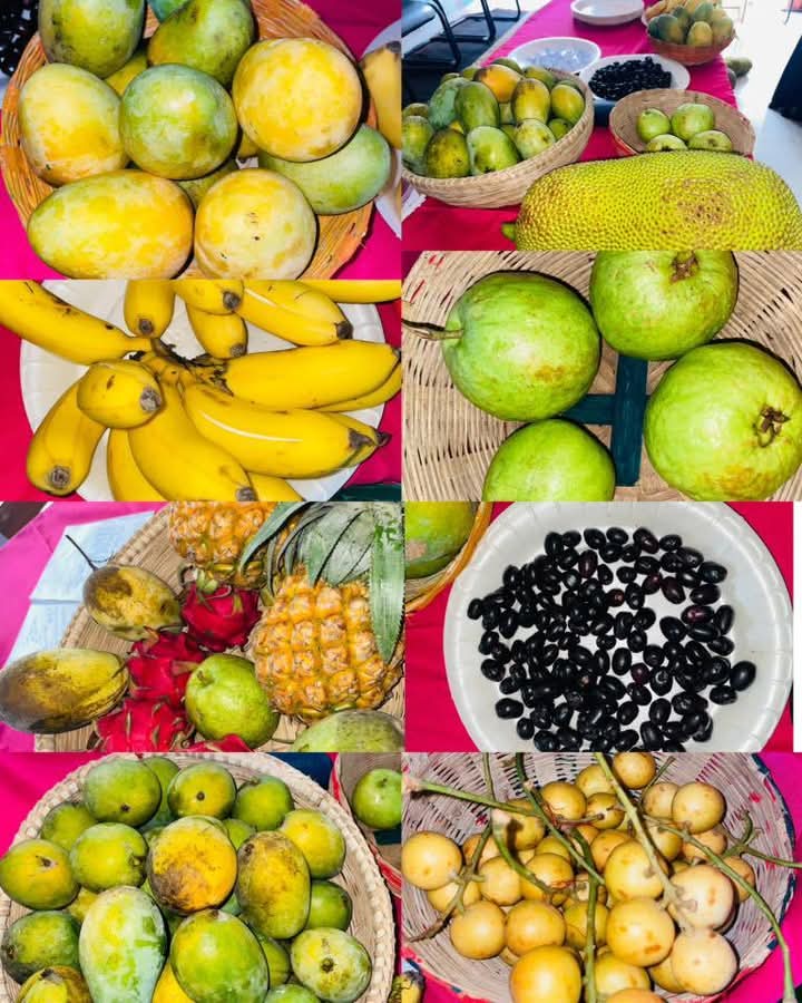 স্থানীয় সরকার ও নগর উন্নয়ন’ বিভাগের আয়োজনে ফল উৎসব-২০২৬ অনুষ্ঠিত