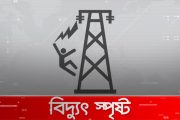 বাঘায় বিদ্যুত স্পৃষ্টে যুবক নিহত