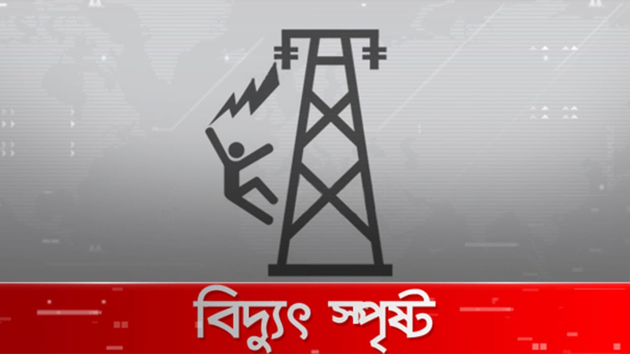 বাঘায় বিদ্যুত স্পৃষ্টে যুবক নিহত
