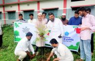 বীরগঞ্জে ছাত্রশিবিরের বৃক্ষরোপণ কর্মসূচি অনুষ্ঠিত