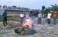 কাহারোলে নিষিদ্ধ চায়না দুয়ারি ও কারেন্ট জাল জব্দ, জনসম্মুখে ধ্বংস
