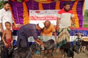 লিডার্সের উদ্যোগে শ্যামনগরে গরুর ক্ষুরা ও ছাগল-ভেড়ার পিপিআর রোগ প্রতিরোধে বিনামূল্যে টিকাদান কর্মসূচি অনুষ্ঠিত