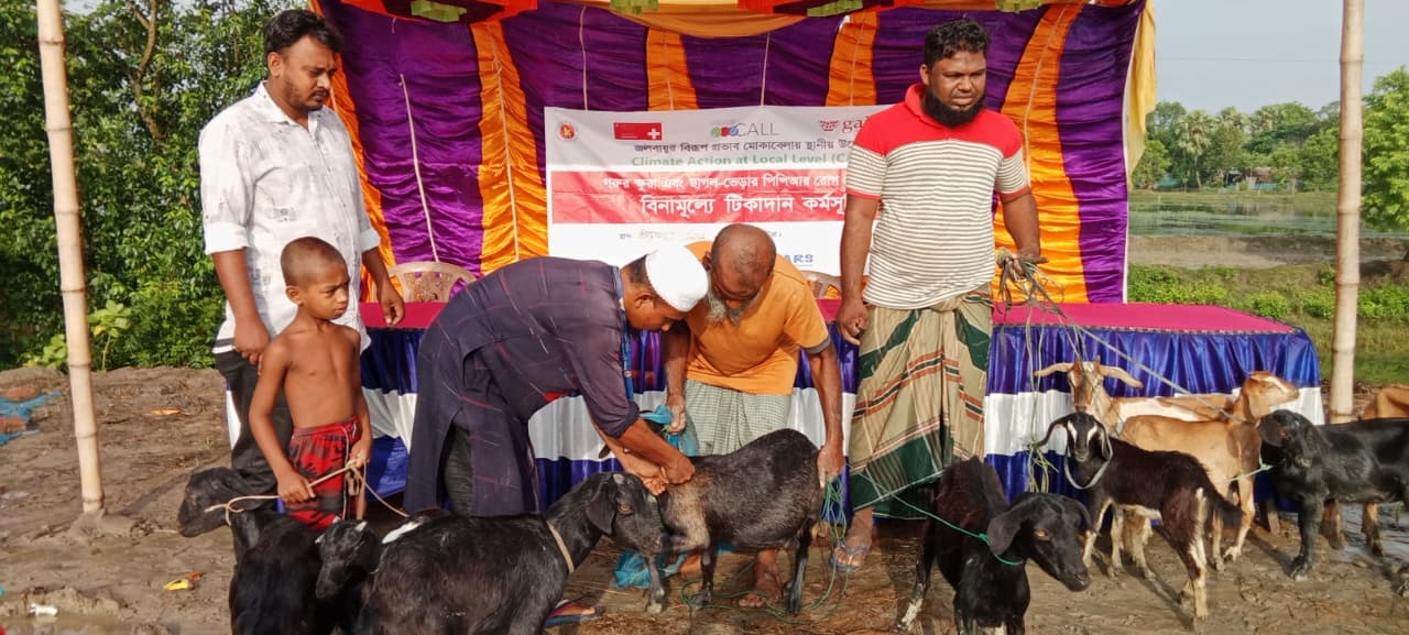 লিডার্সের উদ্যোগে শ্যামনগরে গরুর ক্ষুরা ও ছাগল-ভেড়ার পিপিআর রোগ প্রতিরোধে বিনামূল্যে টিকাদান কর্মসূচি অনুষ্ঠিত