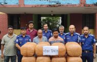 কাহারোলে ৮৮ কেজি গাঁজাসহ দুই কারবারি আটক