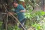 নূরনগরে অগ্রণী ব্যাংকের উদ্যোগে বাংলা কিউআর রোড-শো