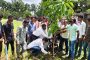 শ্যামনগরে স্বেচ্ছাসেবক দলের প্রতিষ্ঠাবার্ষিকীতে বৃক্ষরোপণ কর্মসূচি