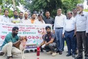 বাকেরগঞ্জে জলাতঙ্ক প্রতিরোধে পথ কুকুরকে টিকা প্রদান কর্মসূচি শুরু