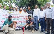 বাকেরগঞ্জে জলাতঙ্ক প্রতিরোধে পথ কুকুরকে টিকা প্রদান কর্মসূচি শুরু