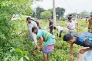 দুর্ঘটনা ঠেকাতে বীরগঞ্জে মহাসড়কের ঝোপঝাড় পরিষ্কার
