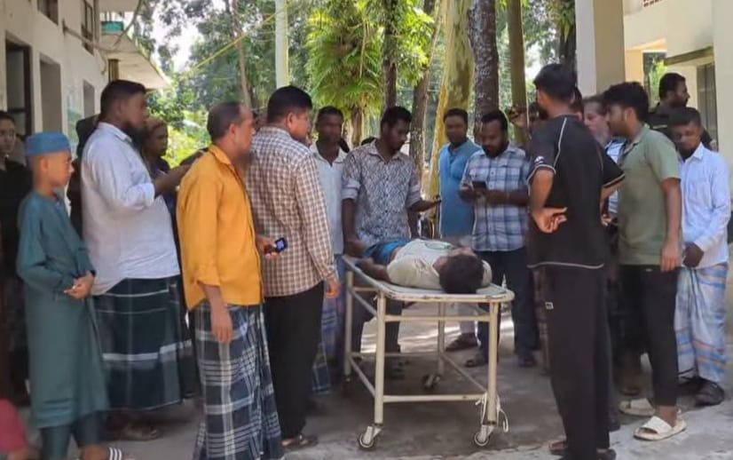বাকেরগঞ্জে গাছ থেকে পড়ে এক জনের মৃত্যু