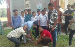 শ্যামনগরে ছাত্রদলের উদ্যোগে বৃক্ষরোপণ কর্মসূচি