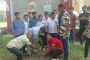 শ্যামনগরে ছাত্রদলের উদ্যোগে বৃক্ষরোপণ কর্মসূচি