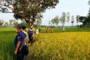 বীরগঞ্জে ধানক্ষেত থেকে কিশোরের অর্ধগলিত মরদেহ উদ্ধার