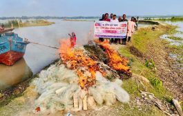 মা ইলিশ সংরক্ষণে বাকেরগঞ্জে ভ্রাম্যমাণ আদালতের অভিযান