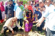 বীরগঞ্জ মডেল প্রেসক্লাবের উদ্যোগে বৃক্ষরোপণ কর্মসূচি ও চারা বিতরণ