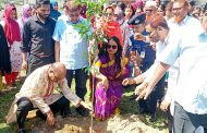 বীরগঞ্জ মডেল প্রেসক্লাবের উদ্যোগে বৃক্ষরোপণ কর্মসূচি ও চারা বিতরণ