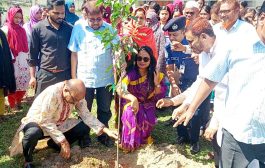 বীরগঞ্জ মডেল প্রেসক্লাবের উদ্যোগে বৃক্ষরোপণ কর্মসূচি ও চারা বিতরণ