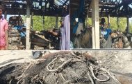 শ্যামনগরে জেলে বাওয়ালীর গোডাউনে রহস্যজনক আগুন, ক্ষতি ১০ লাখ টাকার বেশি